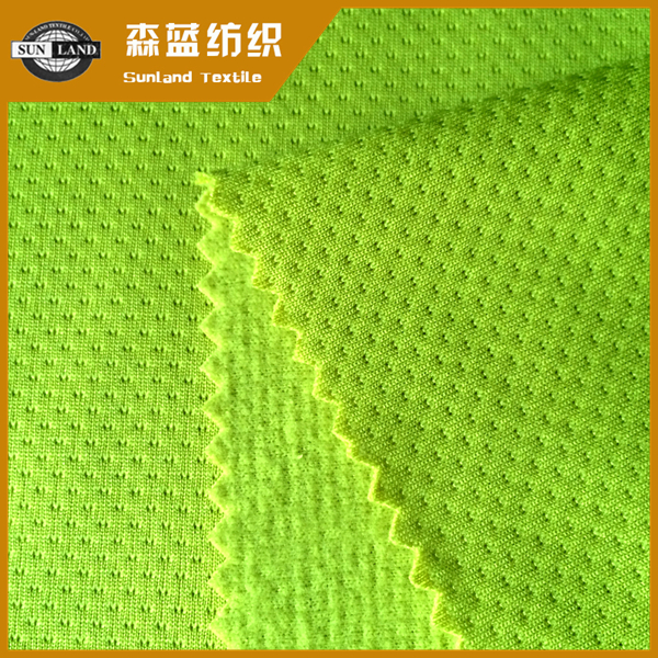上海蝴蝶网眼绒布 Brushed butterfly mesh fabric